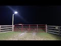 Video Image