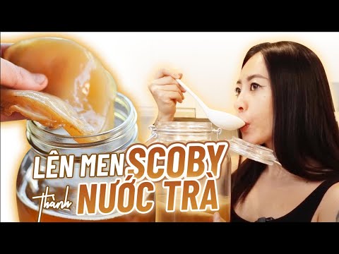 Video: Vị Táo Của Giống 