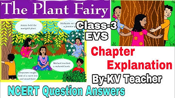 The Plant Fairy / Chapter Explanation NCERT Question Answers/ Class-3 EVS Chapter 2 By-KV Teacher