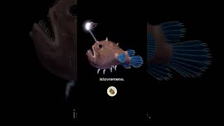 Sve je palo na njena mala leđa 😮‍💨