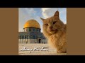 Maher Zain Always Be There Slowed Reverb 