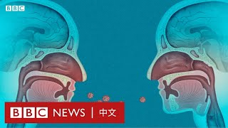 新冠疫情：病毒傳染力驚人 原來跟人體鼻腔有關－ BBC News 中文
