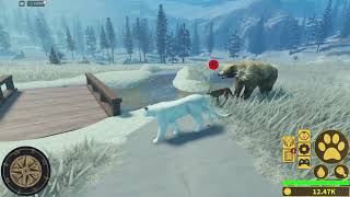 Bear vs Puma (Roblox Yellowstone Unleashed)