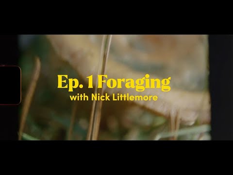 Kathmandu x VICE | Out there with Nick Littlemore - Mushroom Foraging |