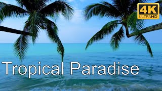 Tropical Beach Background Video 4K - Double Palm Trees