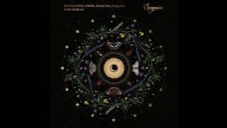 Ilias Katelanos, Alej Ch, Plecta - Why Nam (Extended Mix)