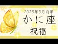 【かに座】3月前半◆思いがけない幸せ。想像以上に上手くいく!オラクルカードリーディング 蟹座