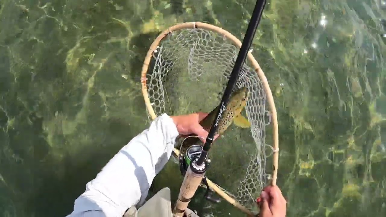 Havørred Fiskeri med små forsløvede blink