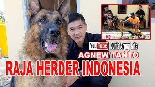 RAJA HERDER INDONESIA  AGNEW TANTO