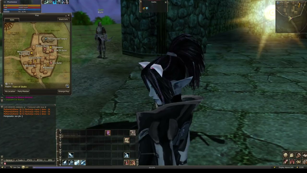 Dark Mystic lvl 16-17 exp + grimm collector quest Ruins Of Despair