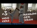 МАВАШИ ГЕРИ ДЗЁДАН. Часть 3. Mawashi geri jodan, part 3.