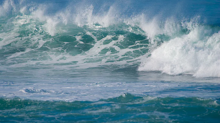 Thanksgiving Swell 2013