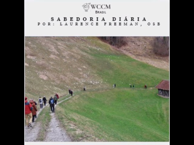 Sabedoria Diária, 20 de outubro de 2025.