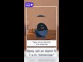 All-new Echo Spot, Smart alarm clock with vibrant sound, Alexa and Bluetooth | Black