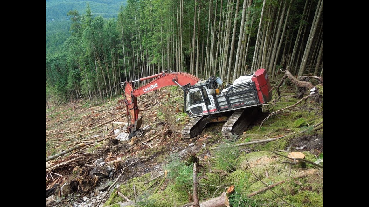 Logging Cutblock pt.3