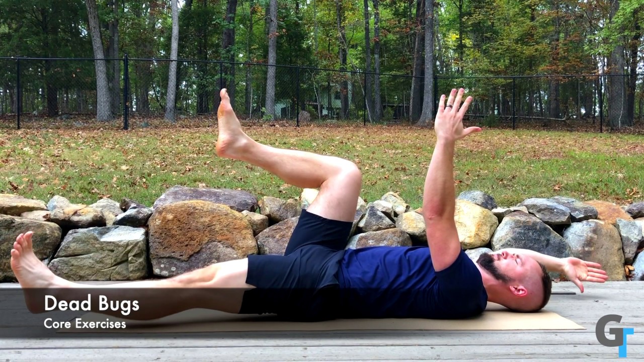 The Dead Bug Exercise Demonstration YouTube