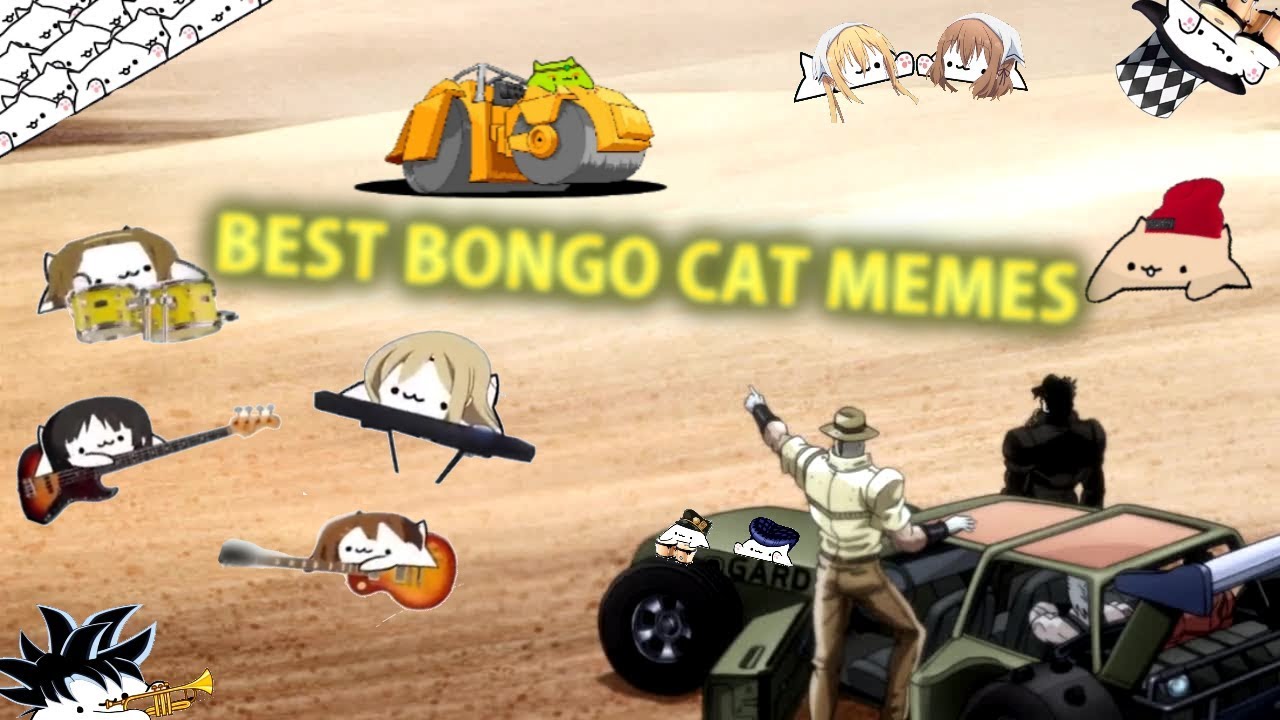 BEST BONGO CAT MEMES COMPILATION 2 BongoCat YouTube