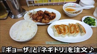 【きたなシュランで星3つ☆☆☆】中華料理 三陽の『ギョーザ』と『ネギドリ』《横浜－野毛》｜Gyoza and Negidori Yokohama Noge