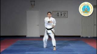 Ten No Kata - International Hayashi-Ha Shito-Ryu