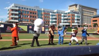 Cree Bulb, The Bulby Dance