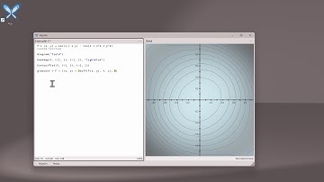 Algosim and its Delphi Internals