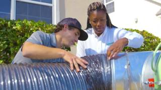Bed Bugs: Get Them Where They Live