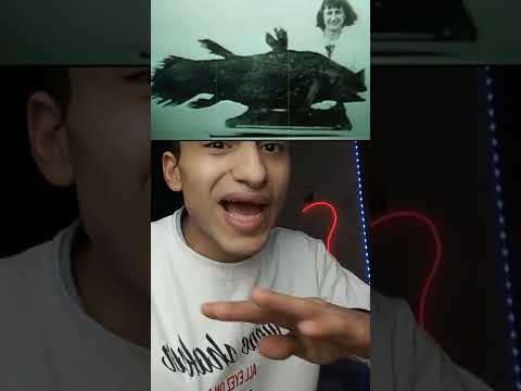 3 حيوانات منقرضة عادت إلى الحياة