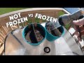 Does FROZEN GRASS SEED Grow Faster??