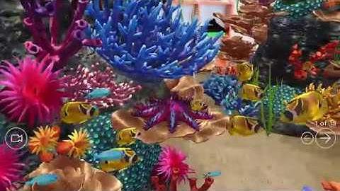 JigSpace: Explore a 3D coral reef in augmented reality
