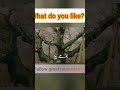 What do you like the most? #viralvideo #viralshorts