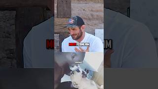 Izzy humbled Strickland after the fight!😂 #izzy #ufc #mma #adesanya #comedy