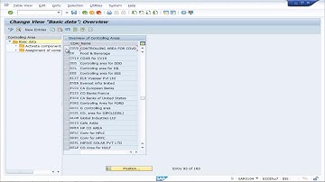 SAP FICO: Activate Components and Control Indicators