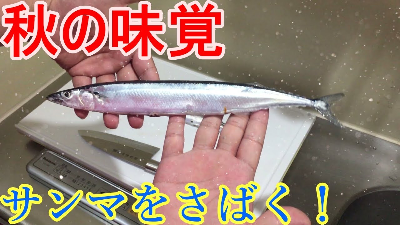魚の捌き方 サンマのさばき方教えます サンマ 刺身 Youtube