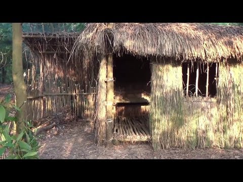 Primitive Technology:used-Build Grass hut(Made From Shed 