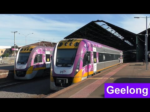 V Line Trains At Geelong Station During Peak Hour Victorian Transport