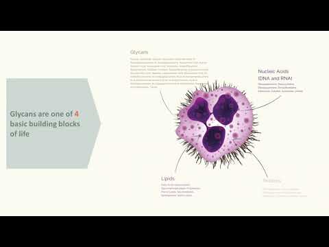 ვიდეო: რა არის გლიკანები და გლიკოპროტეინები?