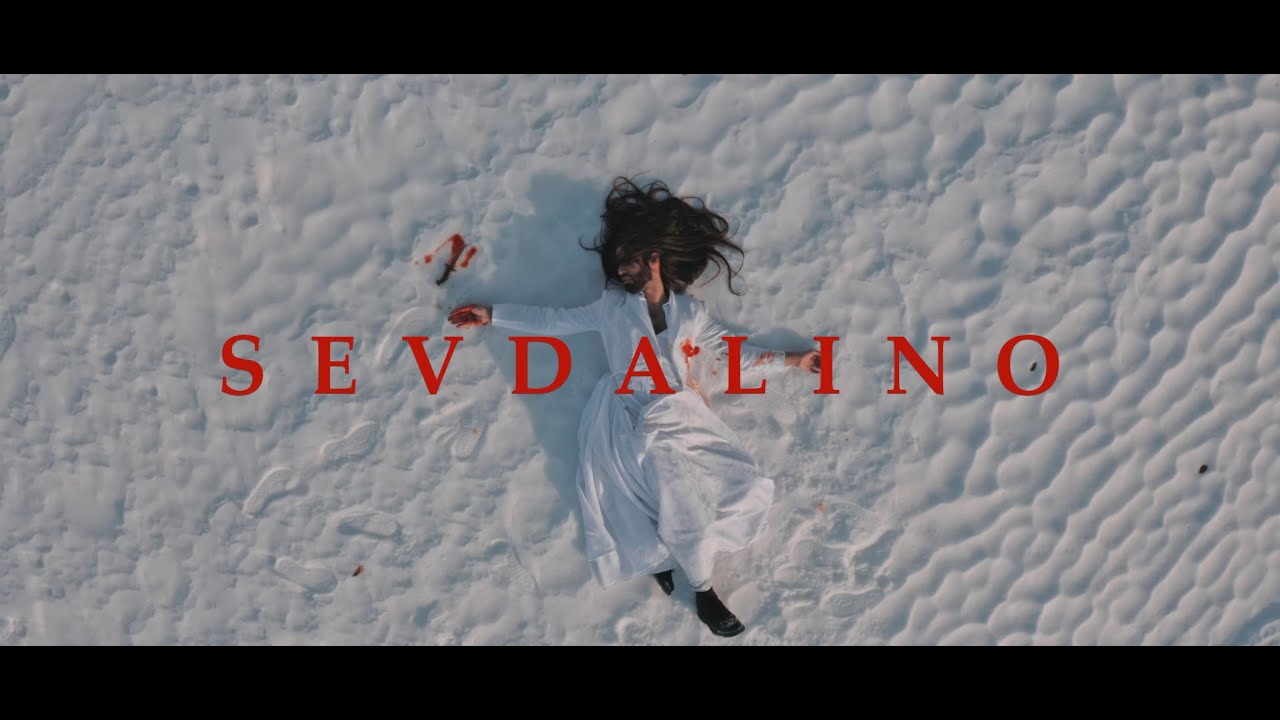 Božo Vrećo S E V D A L I N O