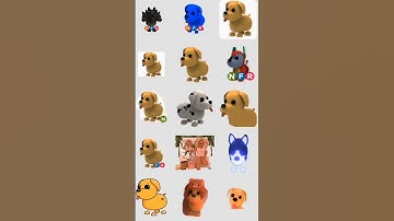 Adopt Me Clickbait Thumbnails be like:... #roblox #adoptme #shorts