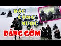 Mỹ Sợ Nhất Đòn Nào Của ĐẶC CÔNG NƯỚC - Trung Quốc Bàn Tán "Đòn Sát Thủ" Người Nhái Việt Nam