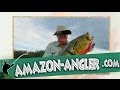 Two Months Fishing In The Amazon