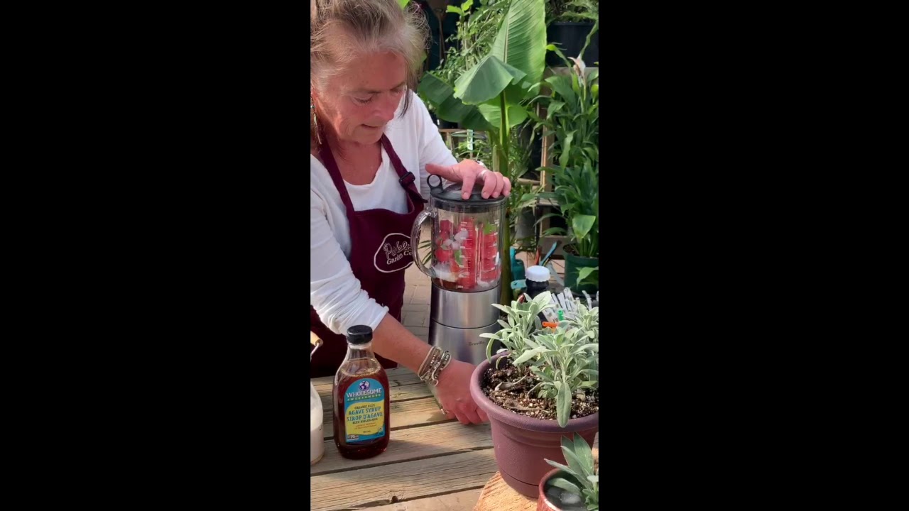 Make Your Own Cocktail Garden