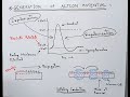 How action potential is generated and propagated in a neuron  threshold potential  depolarization