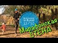 Марафонская стена. 30 марафонов за 30 дней. 12/30