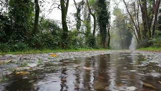 All 7 Chakras Activation, Cleansing, Balancing and Healing Solfeggio Music - Grounding, Pain Relief