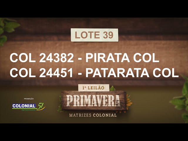 LOTE 39   COL 24382,24451