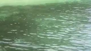 Papua New Guinea - Kwato Island