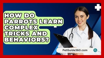 How Do Parrots Learn Complex Tricks And Behaviors? - PetGuide360.com