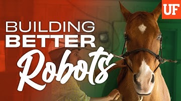 The future of human-robot interactions