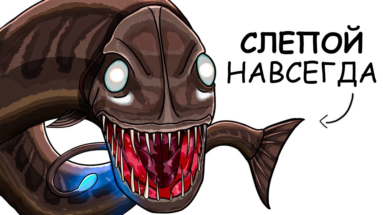 Ты – Рыба-дракон (И ЭТО ВСЯ ТВОЯ ЖИЗНЬ)