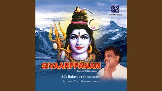 Video thumbnail of "S. P. Balasubrahmanyam - Shri Sambasadasiva"